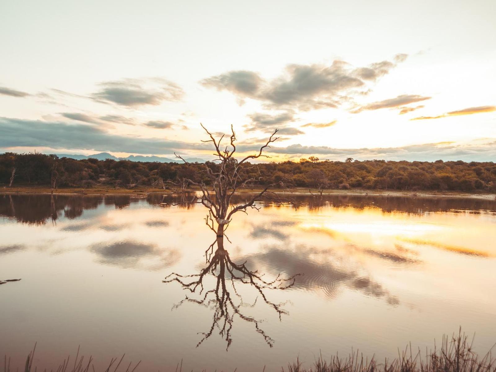 Maroelani Lodge- Greater Kruger Private Reserve 호에드스프뤼트 외부 사진