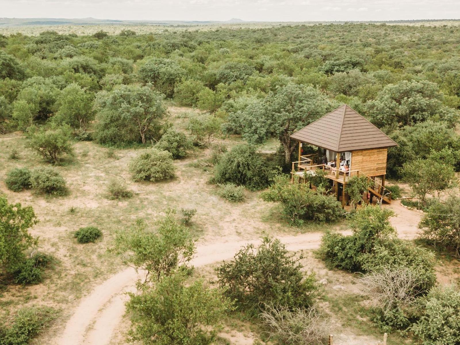 Maroelani Lodge- Greater Kruger Private Reserve 호에드스프뤼트 객실 사진